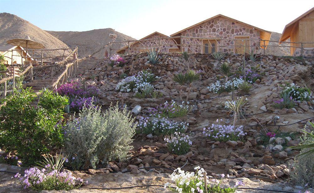 فندق Roots Red Sea El Qoseir المظهر الخارجي الصورة