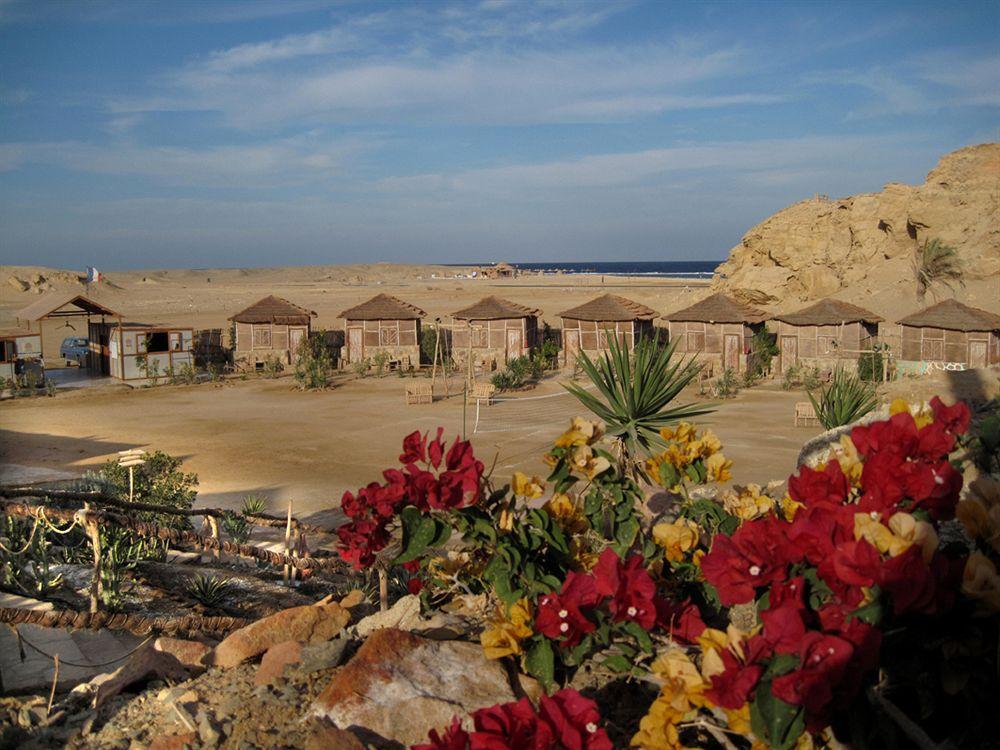 فندق Roots Red Sea El Qoseir المظهر الخارجي الصورة