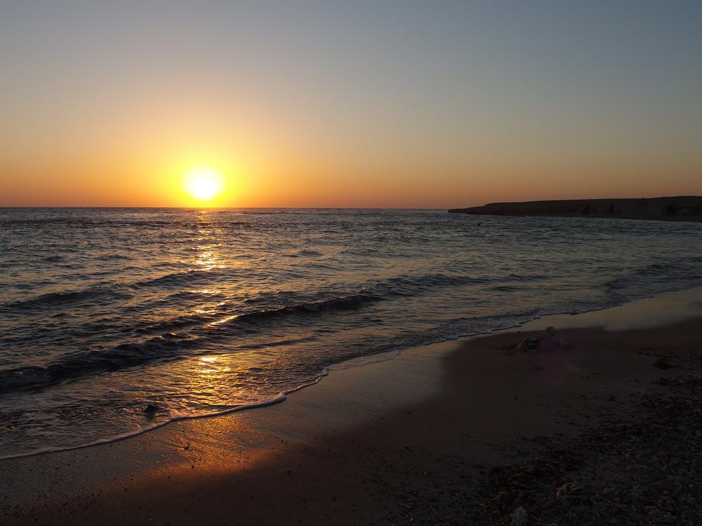 فندق Roots Red Sea El Qoseir المظهر الخارجي الصورة