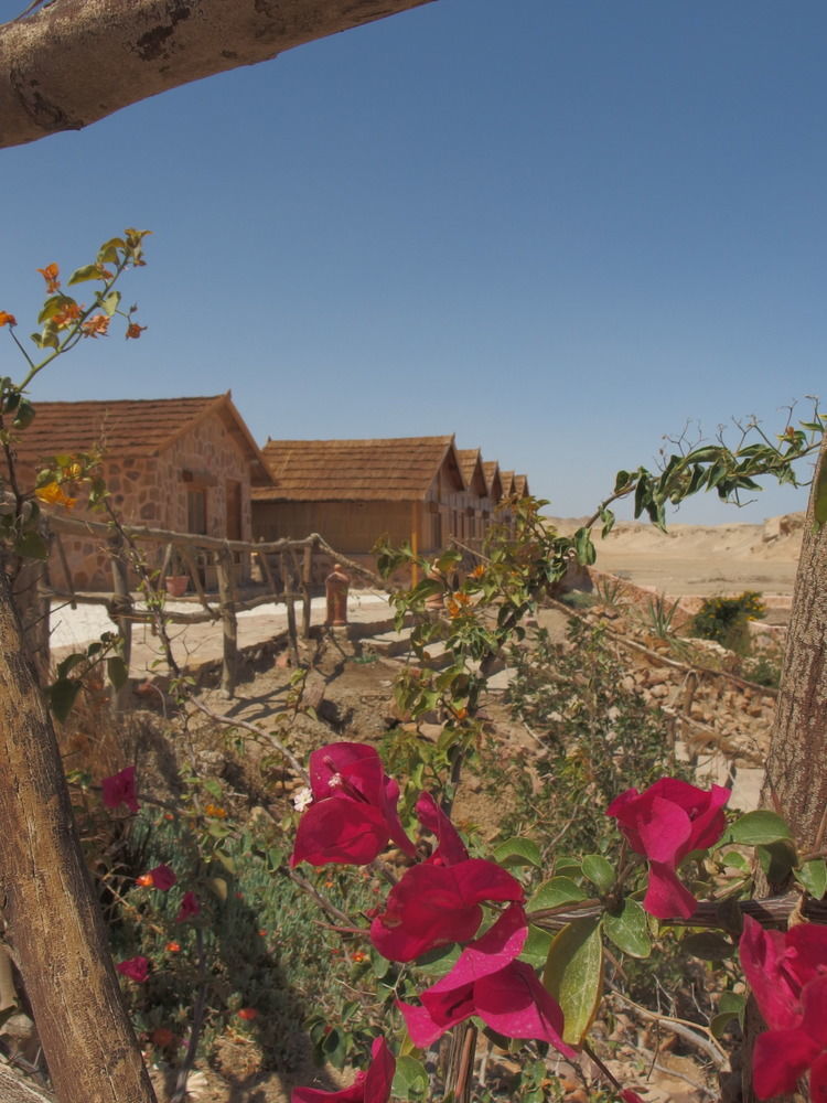 فندق Roots Red Sea El Qoseir المظهر الخارجي الصورة